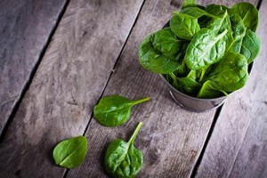 Baby spinach in metal bucket on old wooden surface. Spinach leaves falling out of the vessel.