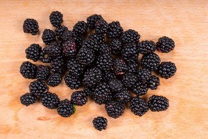 Pile of freshly picked ripe blackberries